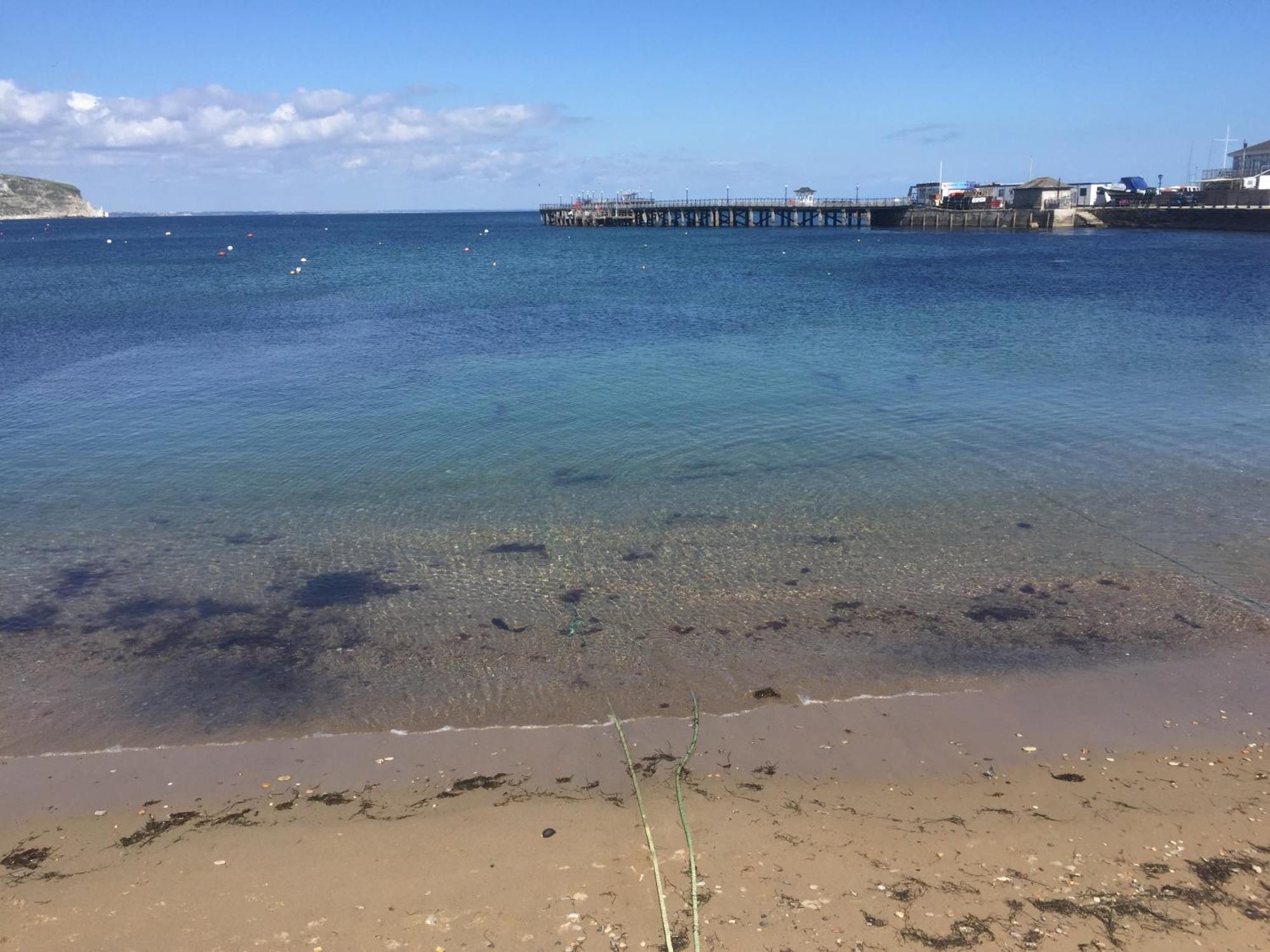 דירות סוואנאייג' Ocean View מראה חיצוני תמונה